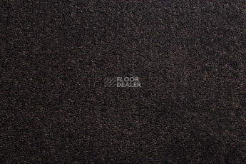 Ковролин Condor Carpets Bologna 78 фото 1 | FLOORDEALER